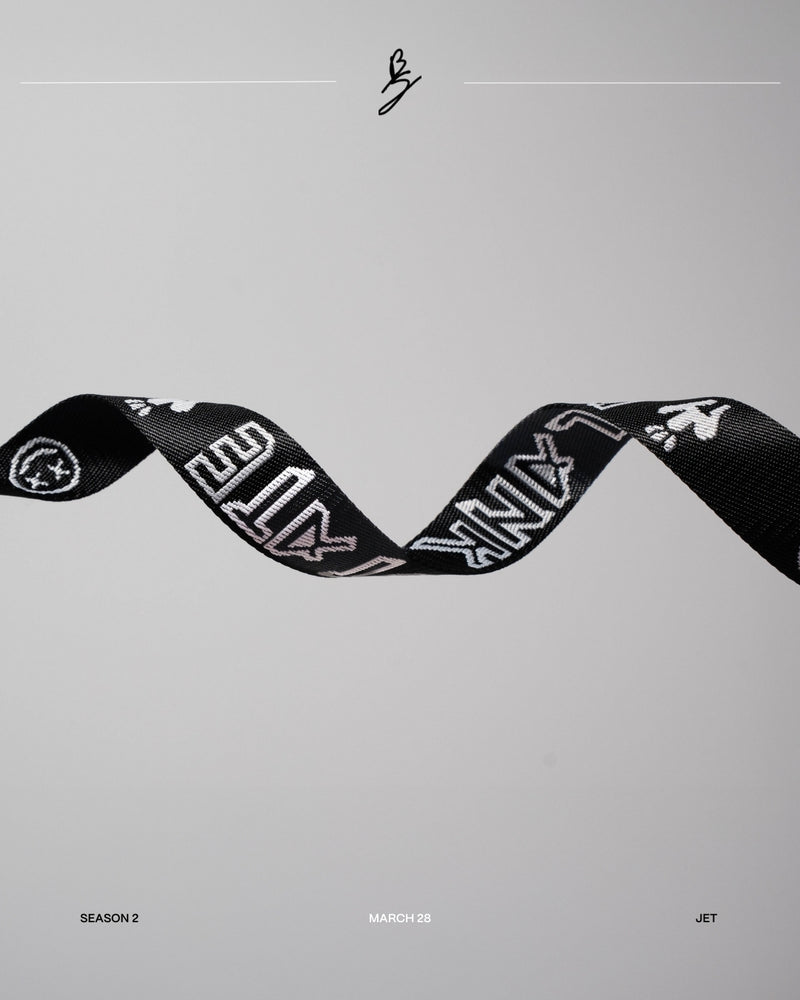 Ceres Belt